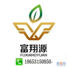 济南公司代理记账服务详解 历城区洪家楼易登网与知识产权代理的协同优势