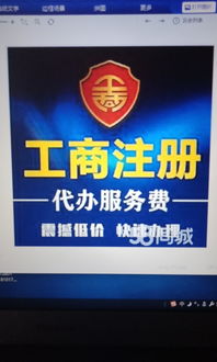 专业企业服务指南 全方位助力创业与运营